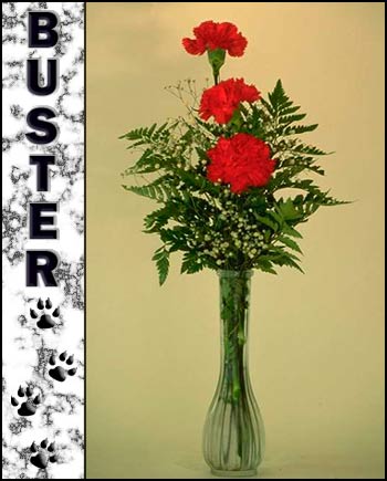 Buster's Memorial